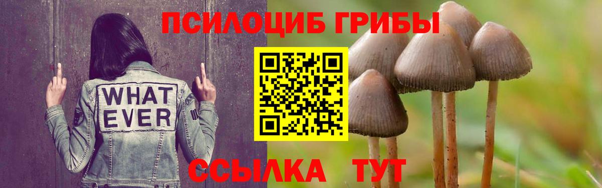 Галлюциногенные грибы Cubensis  Вход с VPN  Тимашёвск 