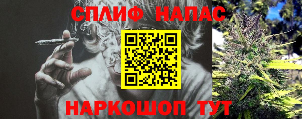 Канабис ГИДРОПОН  Каннабис сатива  Шишки марихуана сатива  Вход с VPN  Бошки марихуана план  Тимашёвск 